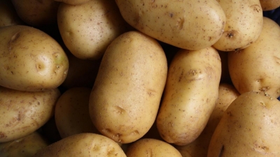 Μελέτη: Καταρρίφθηκε ο μύθος πως οι πατάτες μας παχαίνουν - Πως μπορούν πραγματικά να μας βοηθήσουν να χάσουμε βάρος