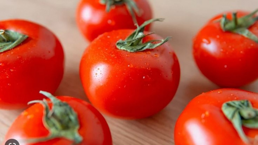 Το μυστικό κόλπο που κρατάει φρέσκες τις ντομάτες μέχρι τον Φεβρουάριο