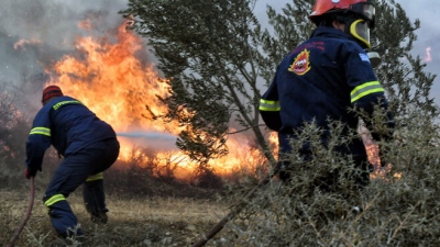 Φωτιά στον Αστακό Αιτωλοακαρνανίας - Σηκώθηκαν και εναέρια μέσα
