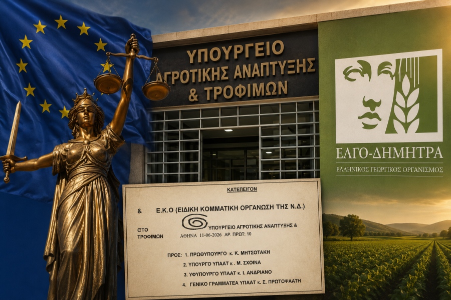 Θράσος: Εγκλημάτησαν, έπεσε πρόστιμο 4,2 εκατ. από την ΕΕ και ζητούν από τον Μητσοτάκη να πληρώσουν οι φορολογούμενοι