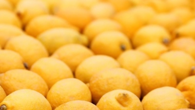 Λεμόνι από την Ινδία του 1739 πουλήθηκε 1.800 δολάρια σε δημοπρασία