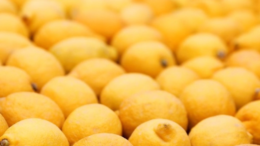 Λεμόνι από την Ινδία του 1739 πουλήθηκε 1.800 δολάρια σε δημοπρασία