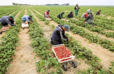 Συμφωνία Ελλάδας – Αιγύπτου για εργάτες γης – Οι 3 βασικοί λόγοι που επιλέγονται 5.000 μετανάστες από την γειτονική χώρα