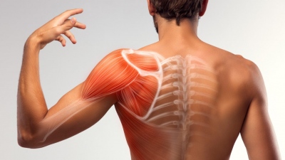 Πόνος στον ώμο: Πως θα τον αντιμετωπίσεις οριστικά