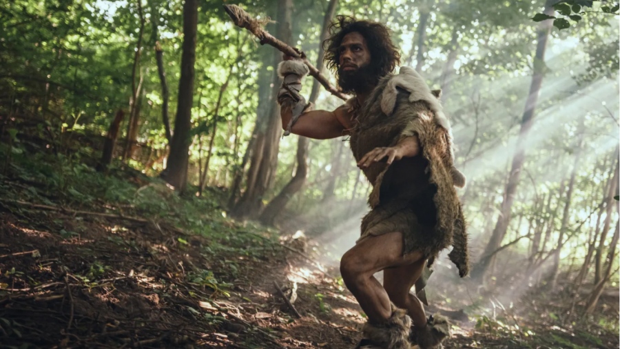 Η Πελοπόννησος αναθεωρεί την ιστορία της ανθρωπότητας - Ανακαλύφθηκαν ξύλινα εργαλεία ηλικίας 430.000 ετών