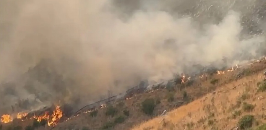 Μεγάλη φωτιά στην Καλλιτεχνούπολη - Ήχησε το 112