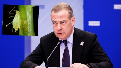 Ισοπεδωτικός Mevdevev: Ο Zelensky είναι μία αηδιαστική πράσινη μελίγκρα, δεν έχει θέση στις διαπραγματεύσεις