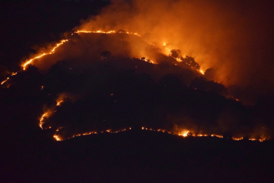 Σε ύφεση η μεγάλη πυρκαγιά στην Πρέβεζα - Σκληρή μάχη με τις φλόγες έδωσαν 64 πυροσβέστες