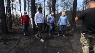 Γεννηματά από Βόρεια Εύβοια: Οι δικαιολογίες και η προσχηματική συγνώμη του κ. Μητσοτάκη δεν πείθουν