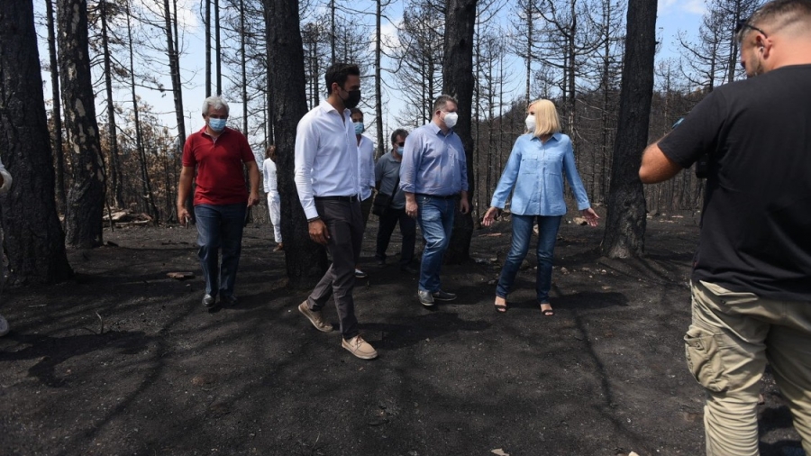 Γεννηματά από Βόρεια Εύβοια: Οι δικαιολογίες και η προσχηματική συγνώμη του κ. Μητσοτάκη δεν πείθουν