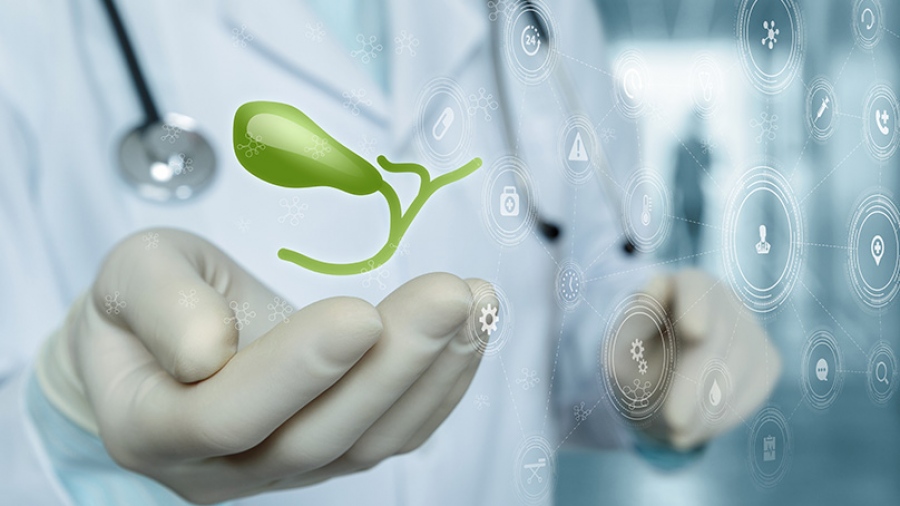 Πολύποδες Χοληδόχου Κύστης: Διάγνωση και Αντιμετώπιση