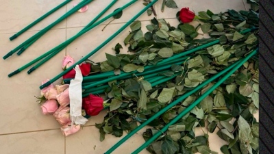 Κοκαΐνη 84 κιλών εντοπίστηκε κρυμμένη σε τριαντάφυλλα σε ανθοπωλείο - Επιχείρηση μαμούθ της ΑΑΔΕ σε Αρτέμιδα και Μαραθώνα