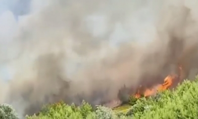 Πυρκαγιά στην Εύβοια: Παραδόθηκαν στις φλόγες πάνω από 1.500 στρέμματα δασικής έκτασης