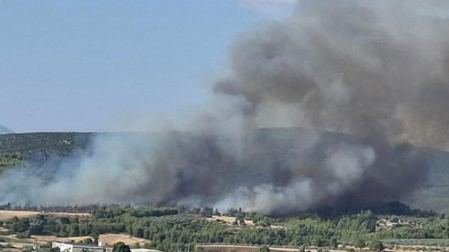 Φωτιά στον Ωρωπό – Επιχειρούν 13 πυροσβεστικά αεροπλάνα και ισχυρές επίγειες δυνάμεις, ήχησε το 112