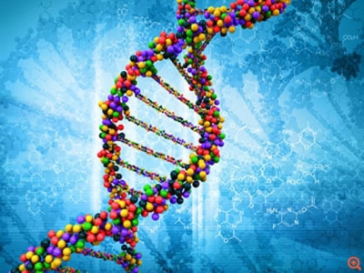 Ανακάλυψαν 155 νέα γονίδια στον ανθρώπινο DNA, πώς σχετίζονται με ασθένειες - Τι λέει ο Έλληνας γιατρός της έρευνας