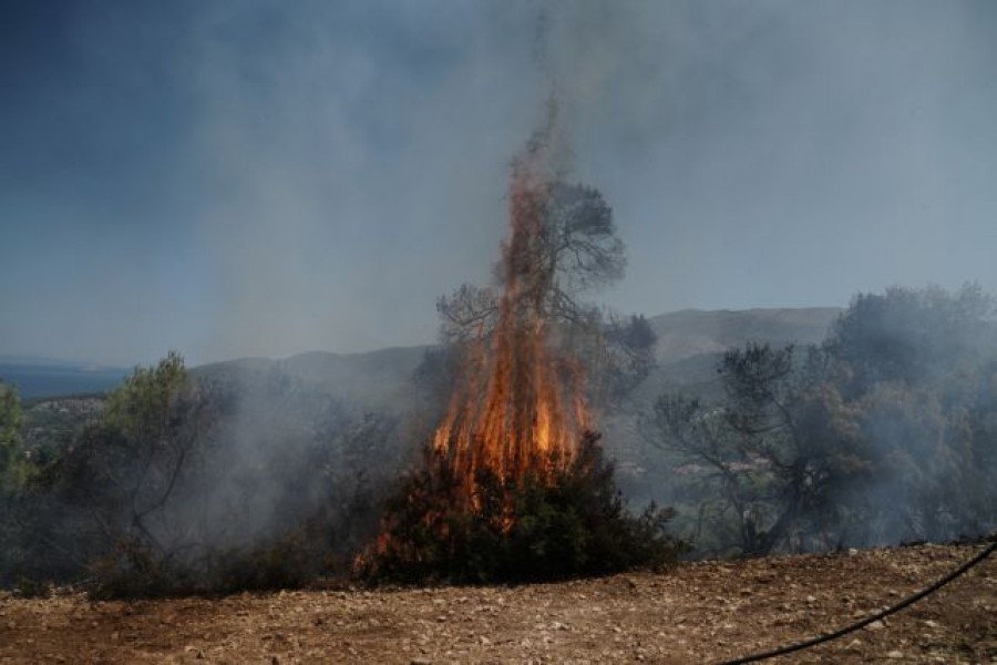 Μεγάλη φωτιά σε δασική έκταση στον Άγιο Νικόλαο Κρήτης