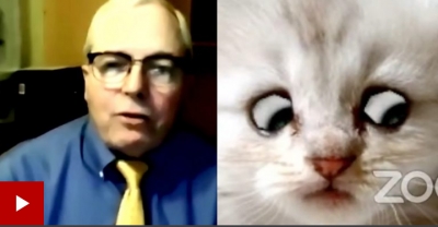 «Δεν ήξερα ότι μια γάτα θα με κάνει διάσημο» λέει ο δικηγόρος μετά το viral ατύχημα με το φίλτρο στο zoom